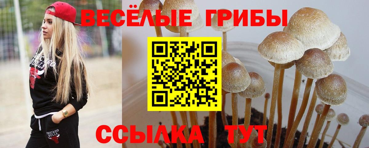 Псилоцибиновые грибы прущие грибы Камышлов